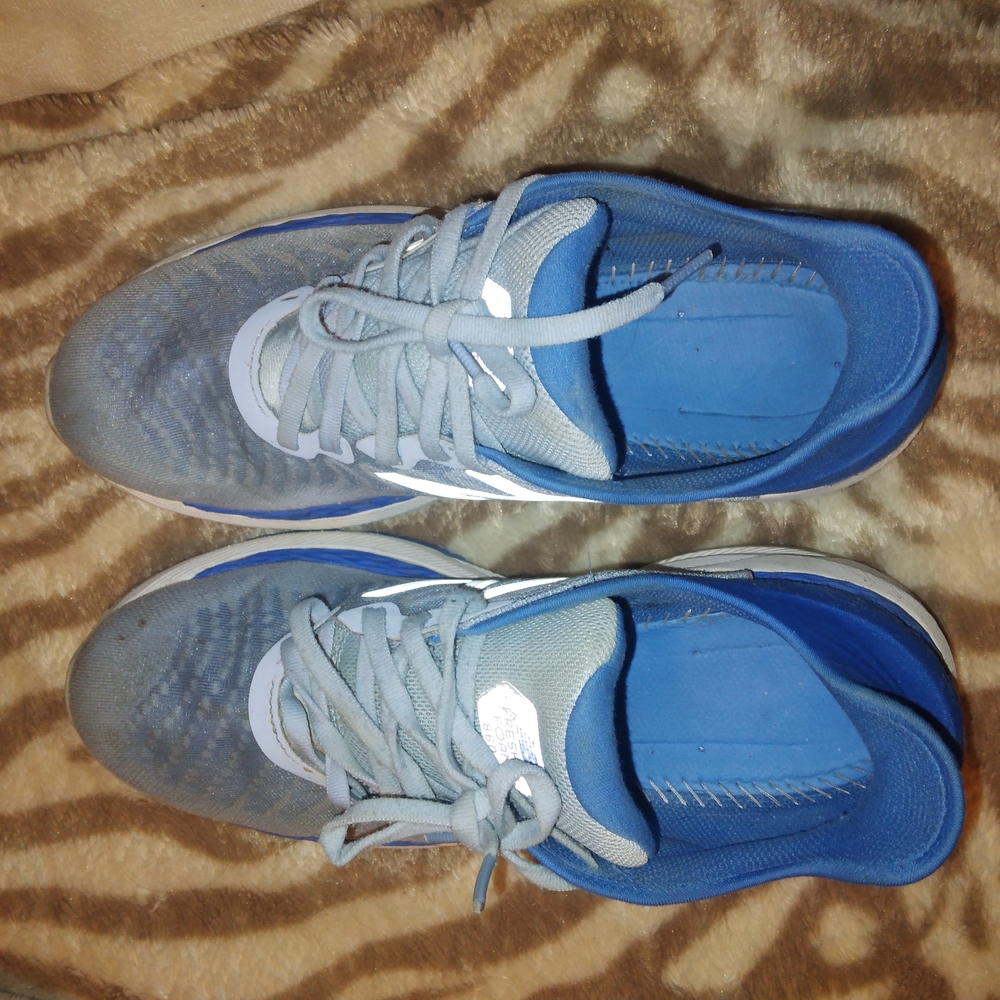 Blue and Gray Sneakers